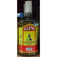 Cayest - Ginebra Gin 38% Vol. 1l produziert auf Teneriffa