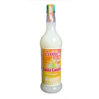 Costa Canaria - Zumo Aloe Vera con Stevia Saft 1l produziert auf Gran Canaria