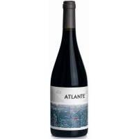 Atlante - Vino Tinto Rotwein trocken 750ml produziert auf Teneriffa