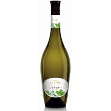 Presas Ocampo - Vino Blanco Seco Crianza Sobre Lias Weisswein trocken 13% Vol. 750ml Konturflasche produziert auf Teneriffa