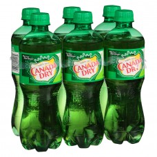 Canada Dry - Ginger Ale 20x 200ml Glasflasche Stiege produziert auf Gran Canaria