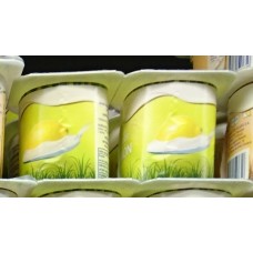 Celgan - Yogur Sabor Limon Lemon 4x 125g produziert auf Teneriffa (Kühlware)