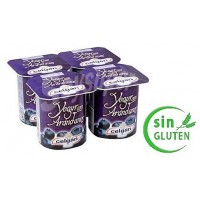 Celgan - Yogur Arandanos 4x 125g Becher produziert auf Teneriffa (Kühlware)