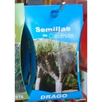 Semillas de Canarias - Drago Drachenbaum Samen produziert auf Teneriffa