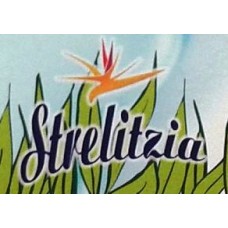 Strelitzia - Yogur 16 Sabores fresa coco limon macedonia Joghurt Becher 4 Sorten 2kg produziert auf Gran Canaria (Kühlware)