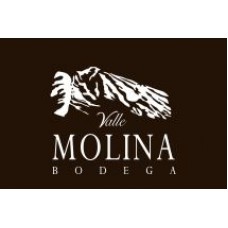 Valle Molina - Vino Tinto Tradicional Rotwein 750ml produziert auf Teneriffa